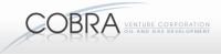 Cobra Venture Corporation