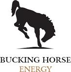 Bucking Horse Energy Inc.