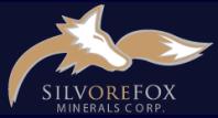 Silvore Fox Minerals Corp.