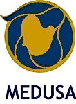 Medusa Mining Limited