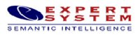 Expert System