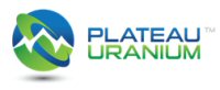 Plateau Uranium reports consistent 61-73% Lithium Recoveries ... - Marketwired (press release)